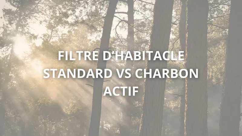 Filtre à Pollen/Habitacle : Standard ou Charbon Actif, Lequel Choisir ?